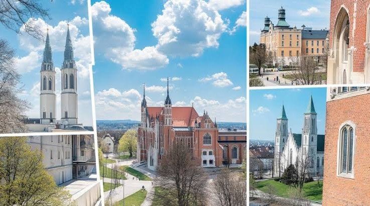 Best Universities for MBA with Affordable Tuition Fees